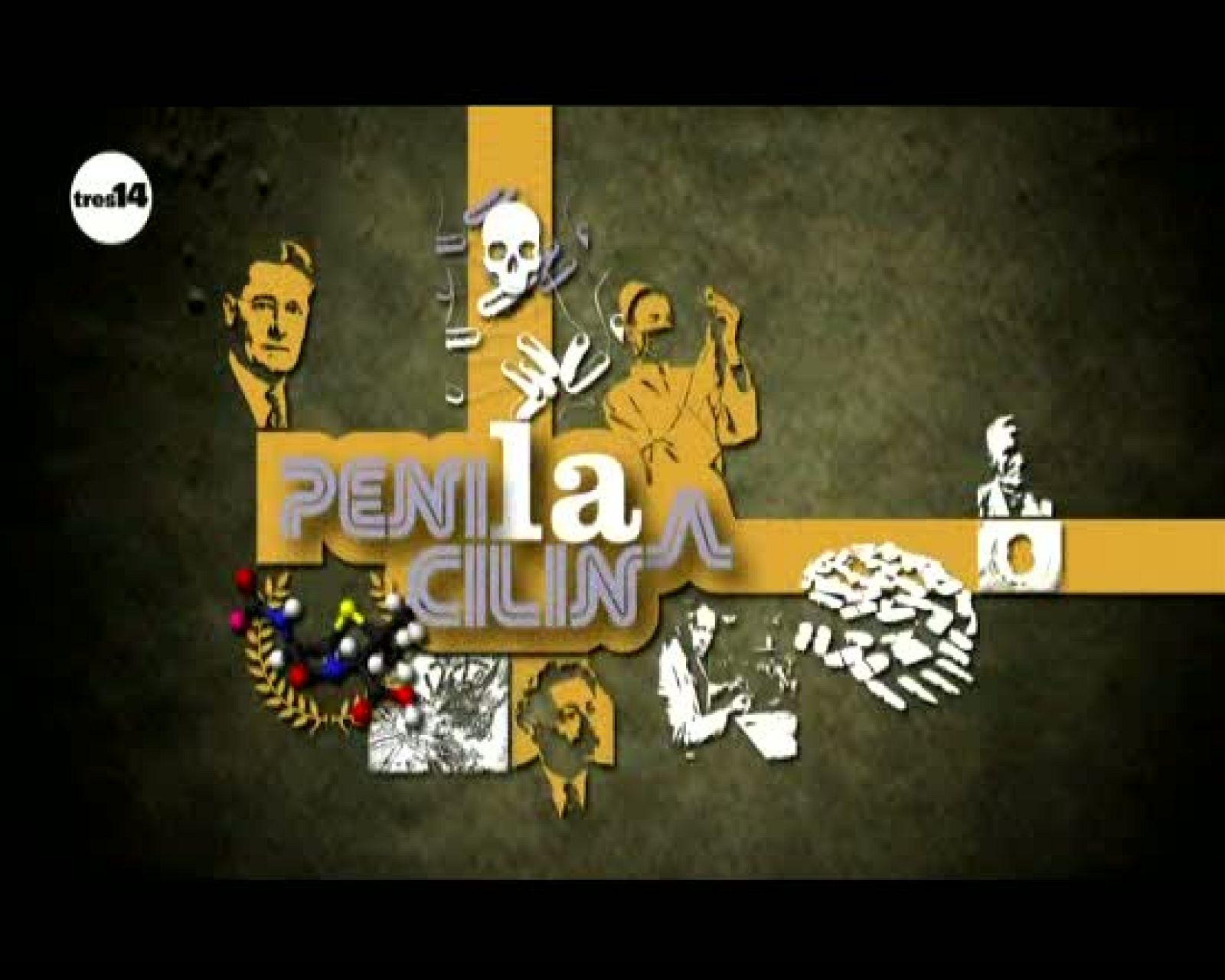 avance tres 14 Hongos