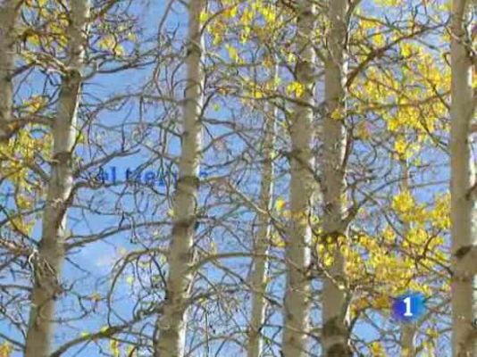 El tiempo - El Tiempo - 22/11/10