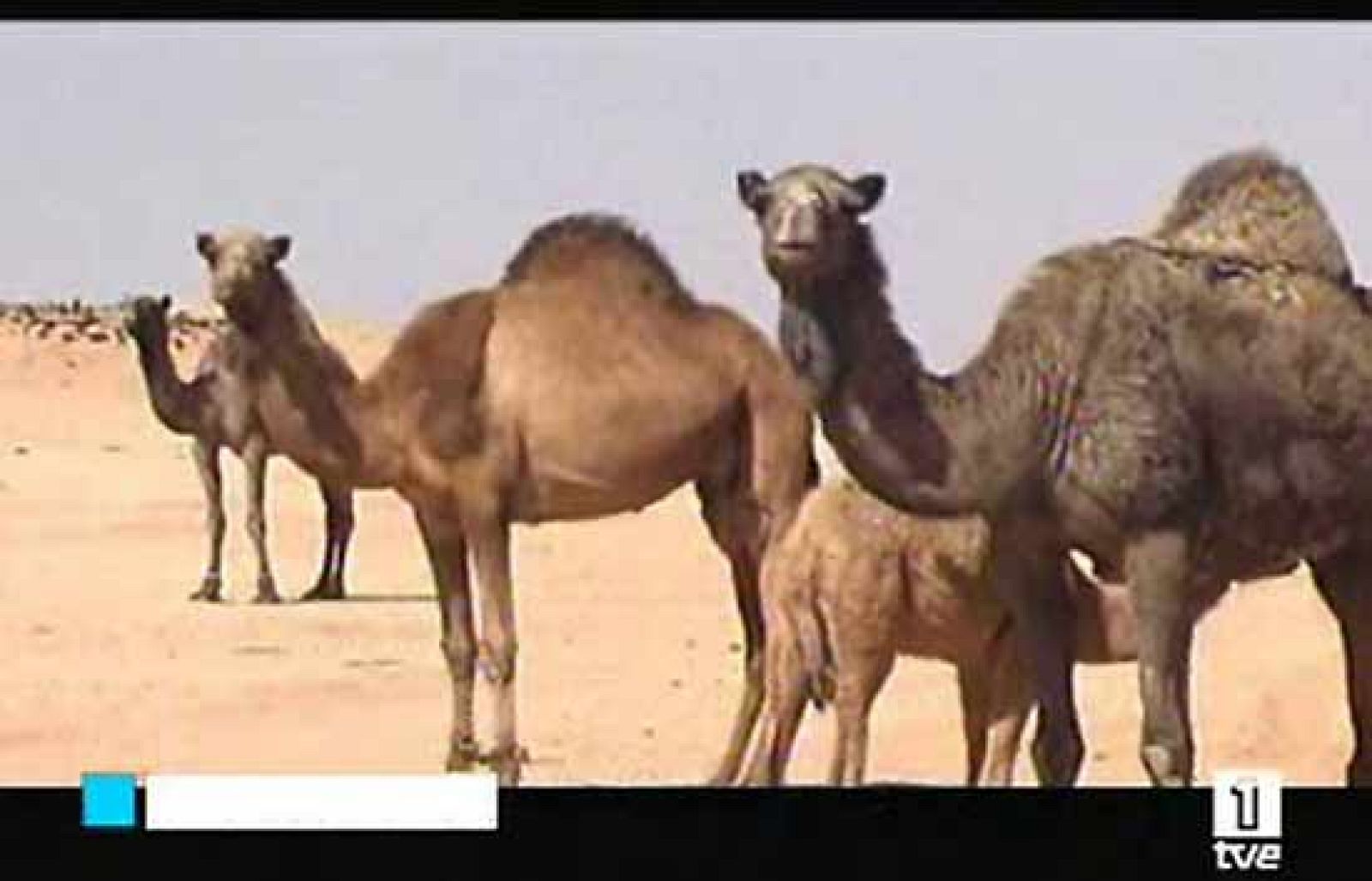 Tres operas primas entre los estrenos | Ver