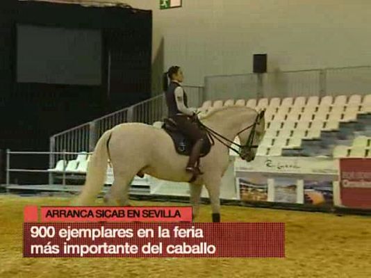 España en 24h - España en 24 horas - 23/11/10