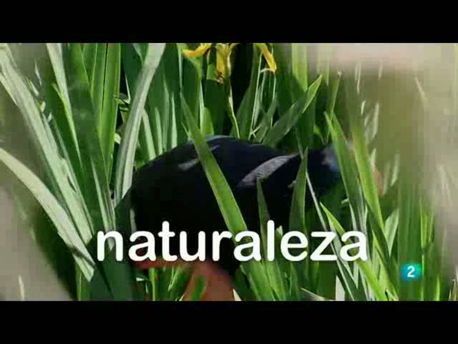 Biodiario - 23/11/10 - Biodiario | Ver