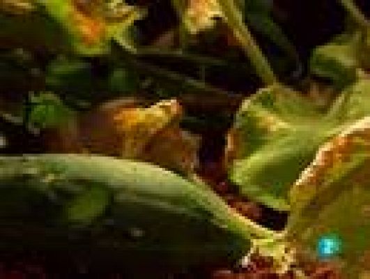  - La despensa más natural