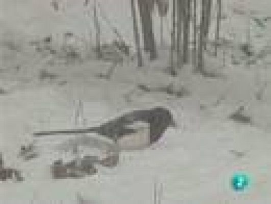  - Un bloque de apartamentos