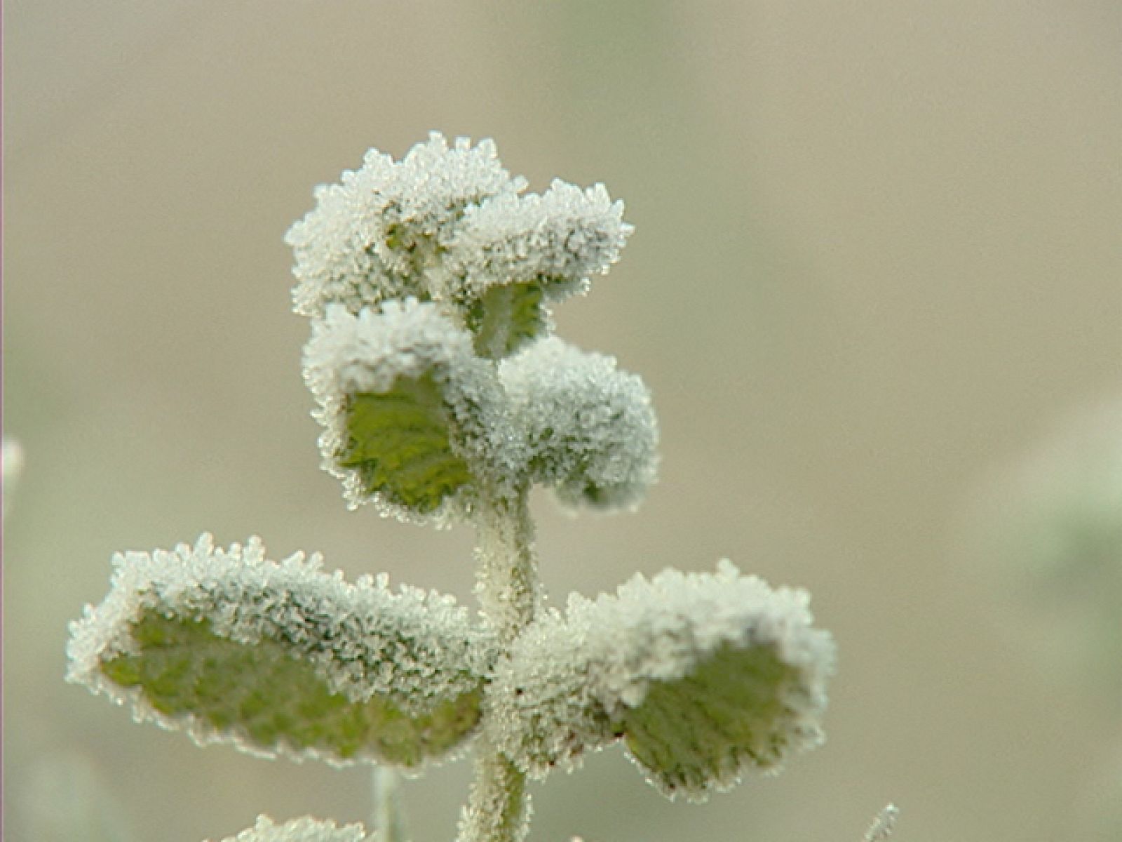 Las temperaturas han bajado de ayer a hoy una media de unos tres grados
