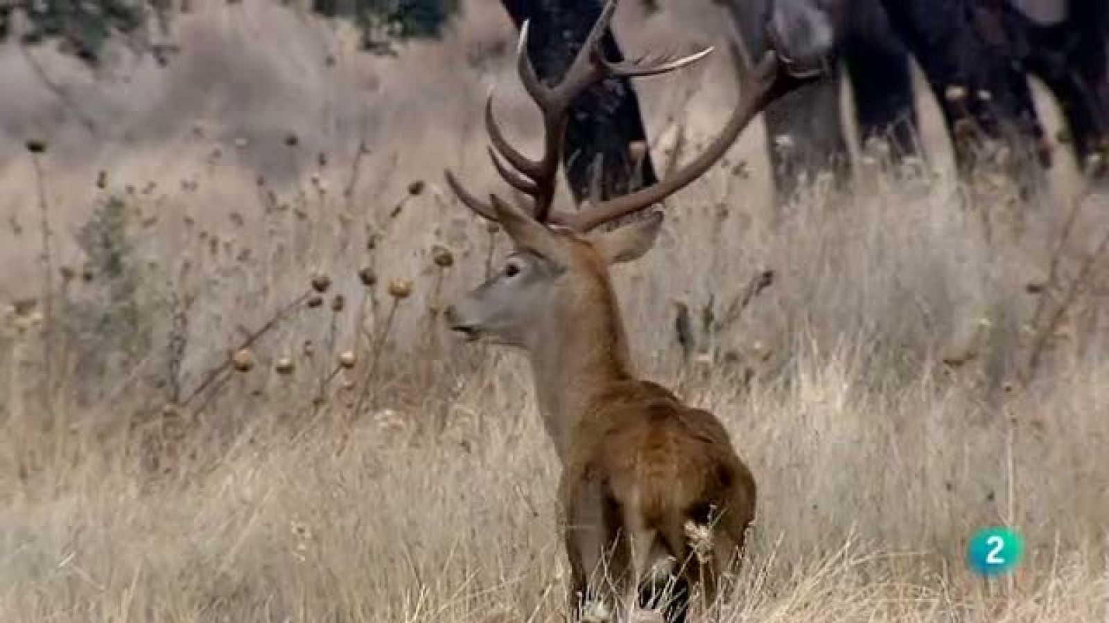 Biodiario - 28/11/10 - Biodiario | Ver
