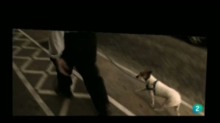 Página Dos - Roberto Montero González