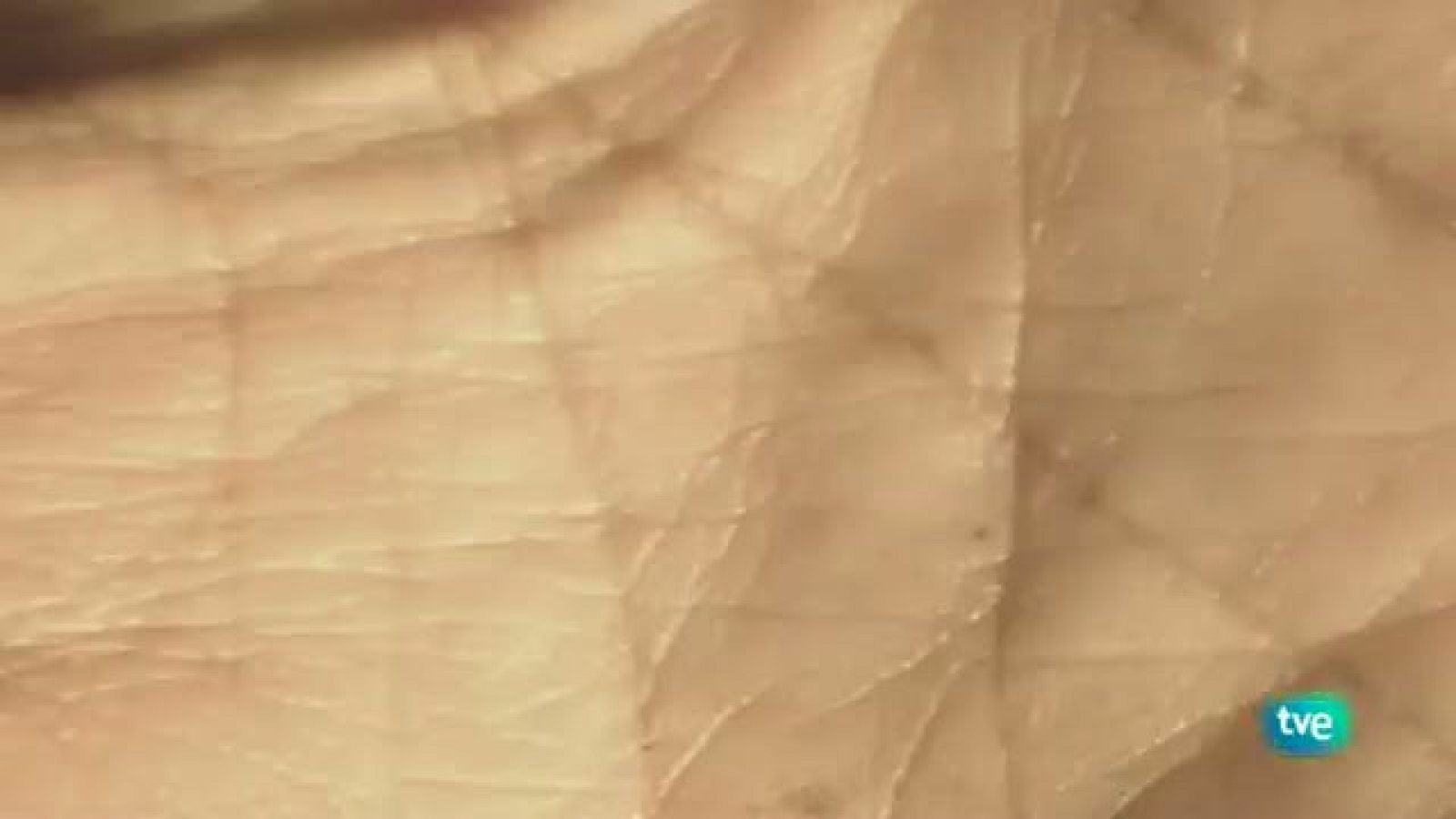 Con visado de calle - 30/11/10 - Con visado de calle | Ver