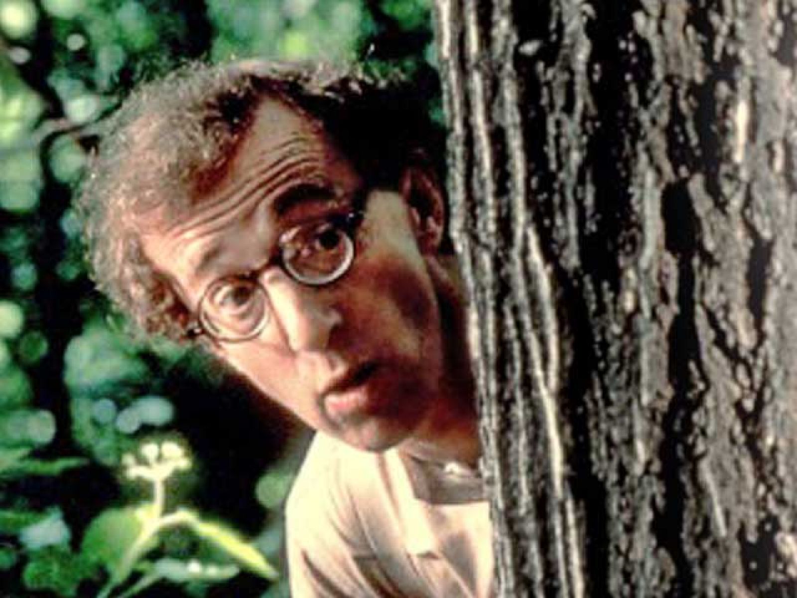 El mundo del cine está de cumpleaños porque cumple 75 una de esas figuras imprescindibles en el cine del último medio siglo. Neoyorquino, bajito, con gafas, judío, obsesivo y enamorado de España: Woody Allen (01/12/2010).