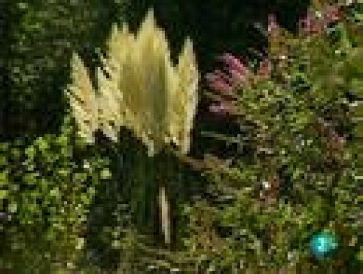  - Ocultos bajo el suelo