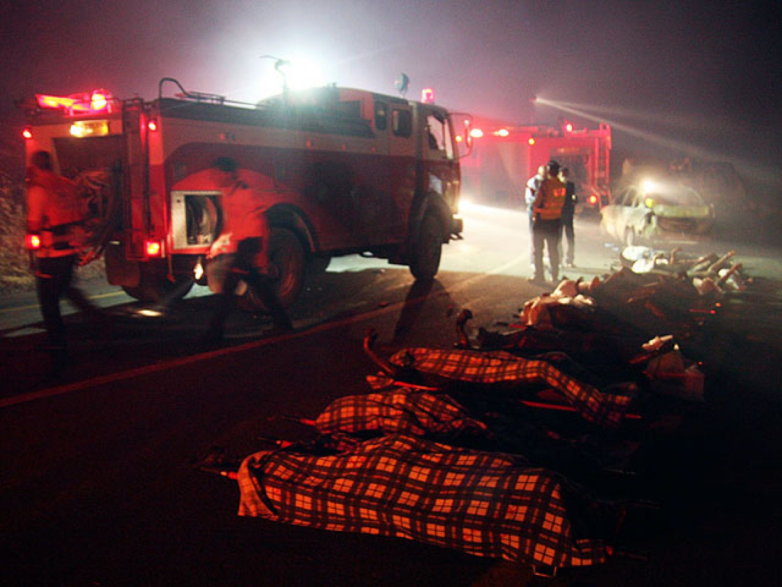Las llamas devoran el monte Carmel, en Haifa, en el norte de Israel. El incendio más grave de la historia del país está todavía incontrolado. Los equipos de rescate luchan por sofocar el fuego que ha obligado a evacuar centenares de edificios, entre