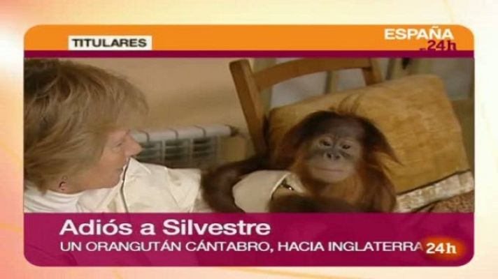 España en 24h - España en 24 horas - 03/12/10