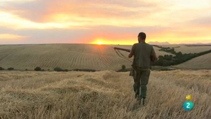 Jara y sedal - Luces de media veda