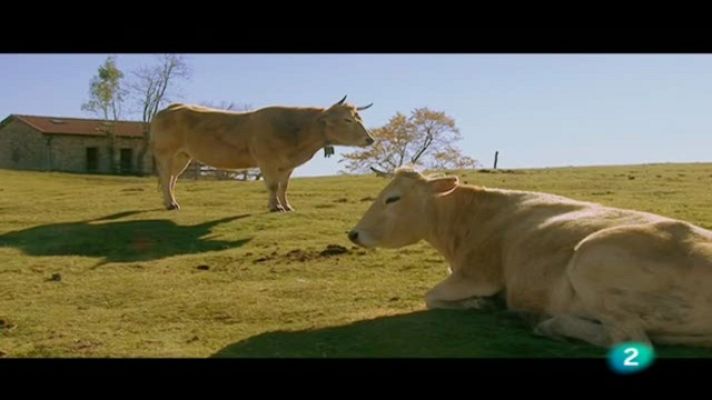  - Montaña Palentina y C. Cantábrica