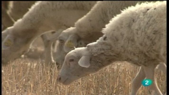 Agrosfera - Agrosfera - 04/12/10