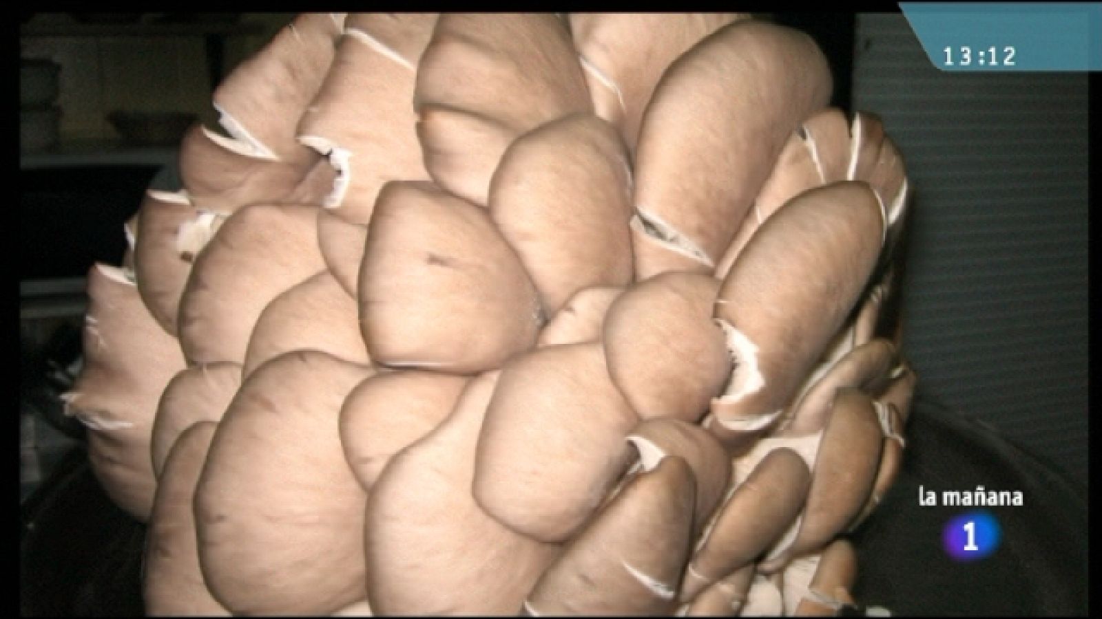 La mañana de La 1 - 07/12/10 - La mañana | Ver