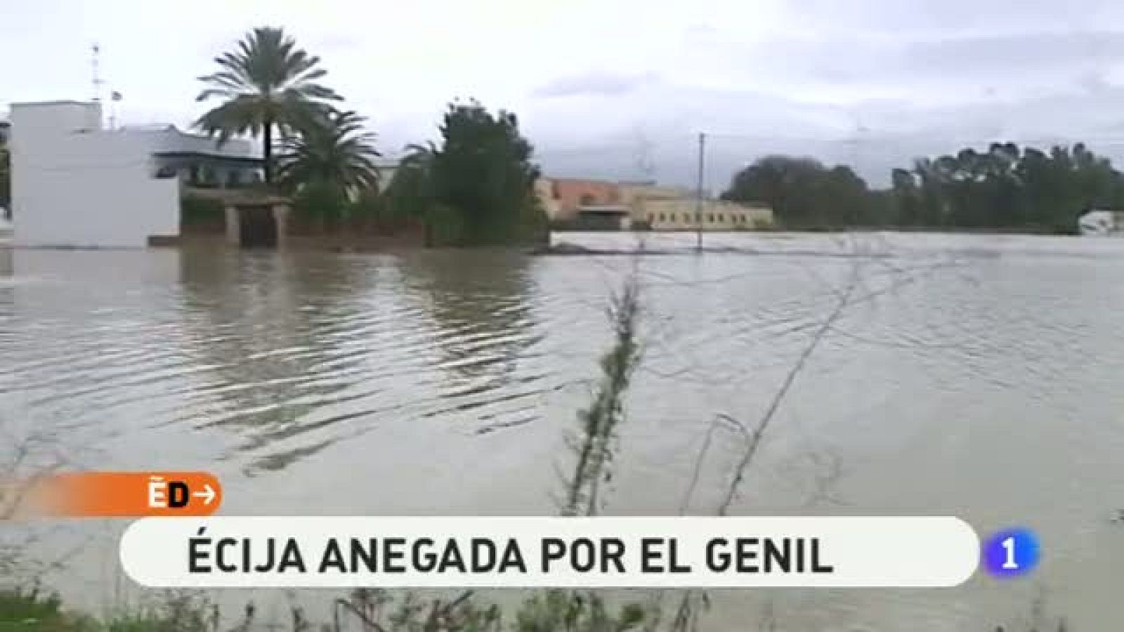 España Directo - 07/12/10 - España Directo | Ver