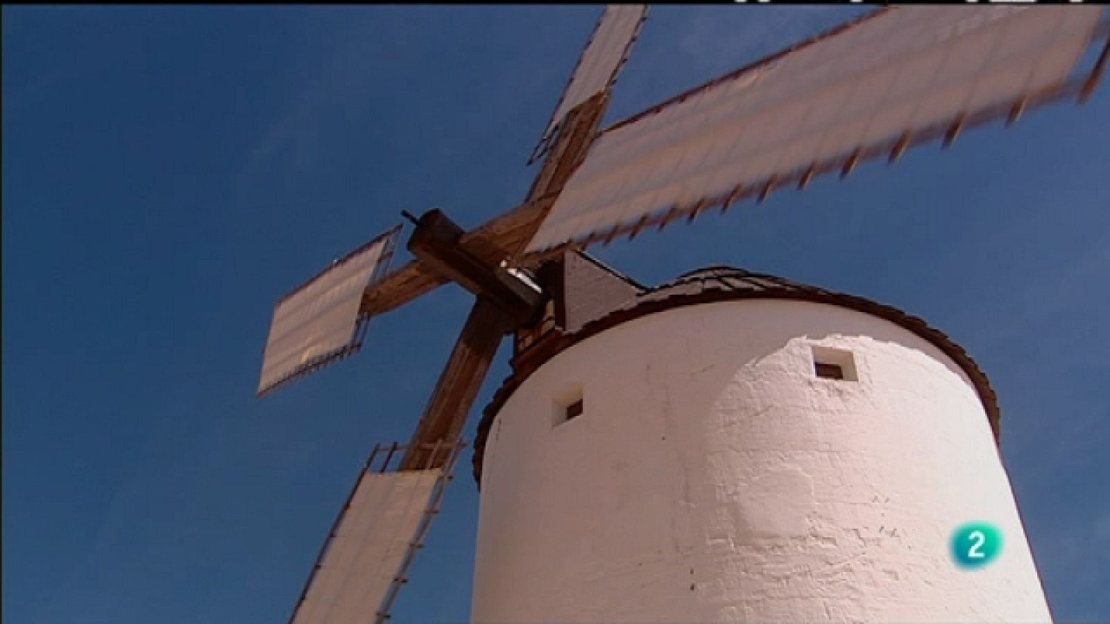 Biodiario - La víbora hocicuda - Biodiario | Ver
