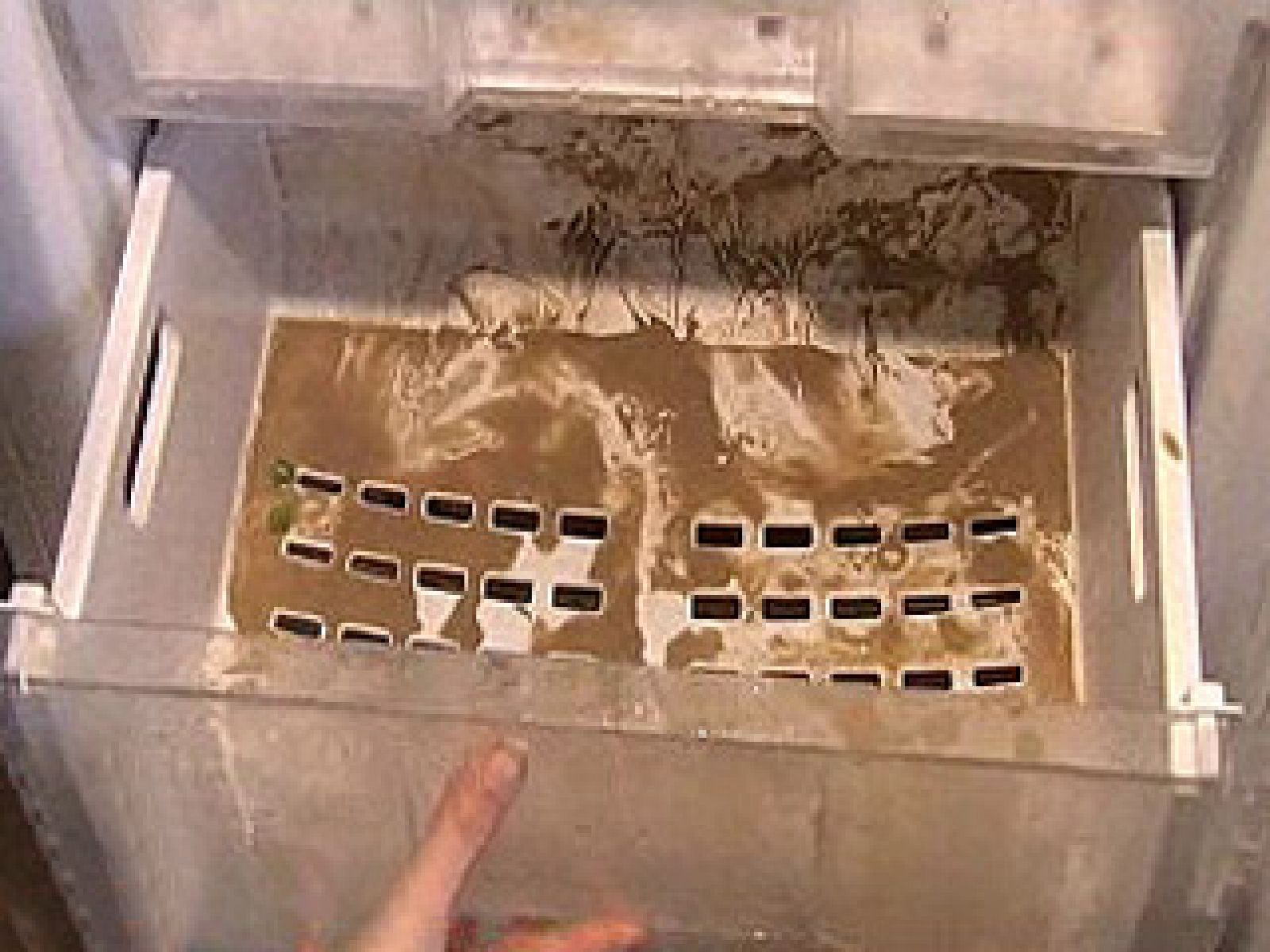 España Directo - La riada se lo llevó todo