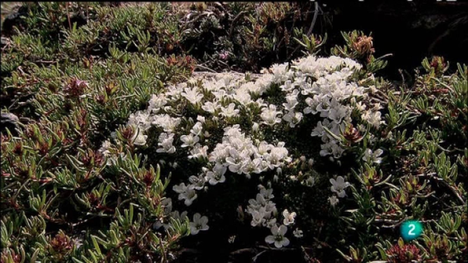 Biodiario - 12/12/10 - Biodiario | Ver