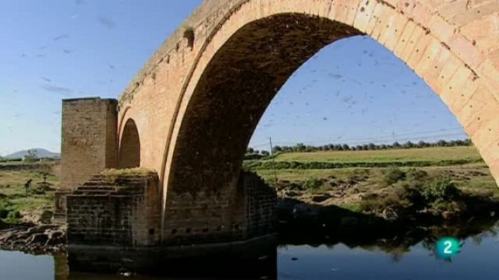 Biodiario - Biodiario - 13/12/10