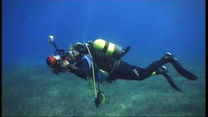 El escarabajo verde - Un catálogo de problemas 2ªParte