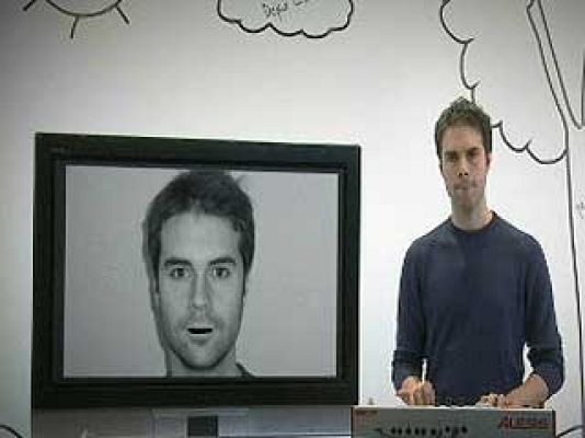 Zzz - El patito feo II