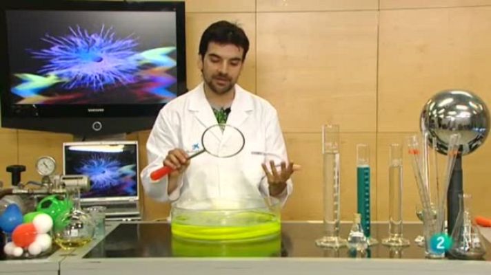 La aventura del Saber - La aventura del saber - 15/12/10