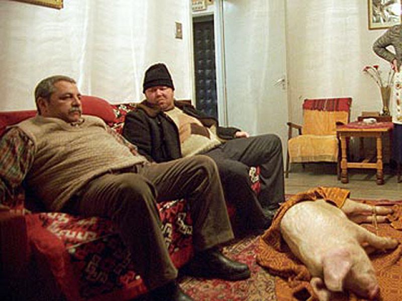 Días de cine: 'Historias de la edad de oro' (Tráiler)