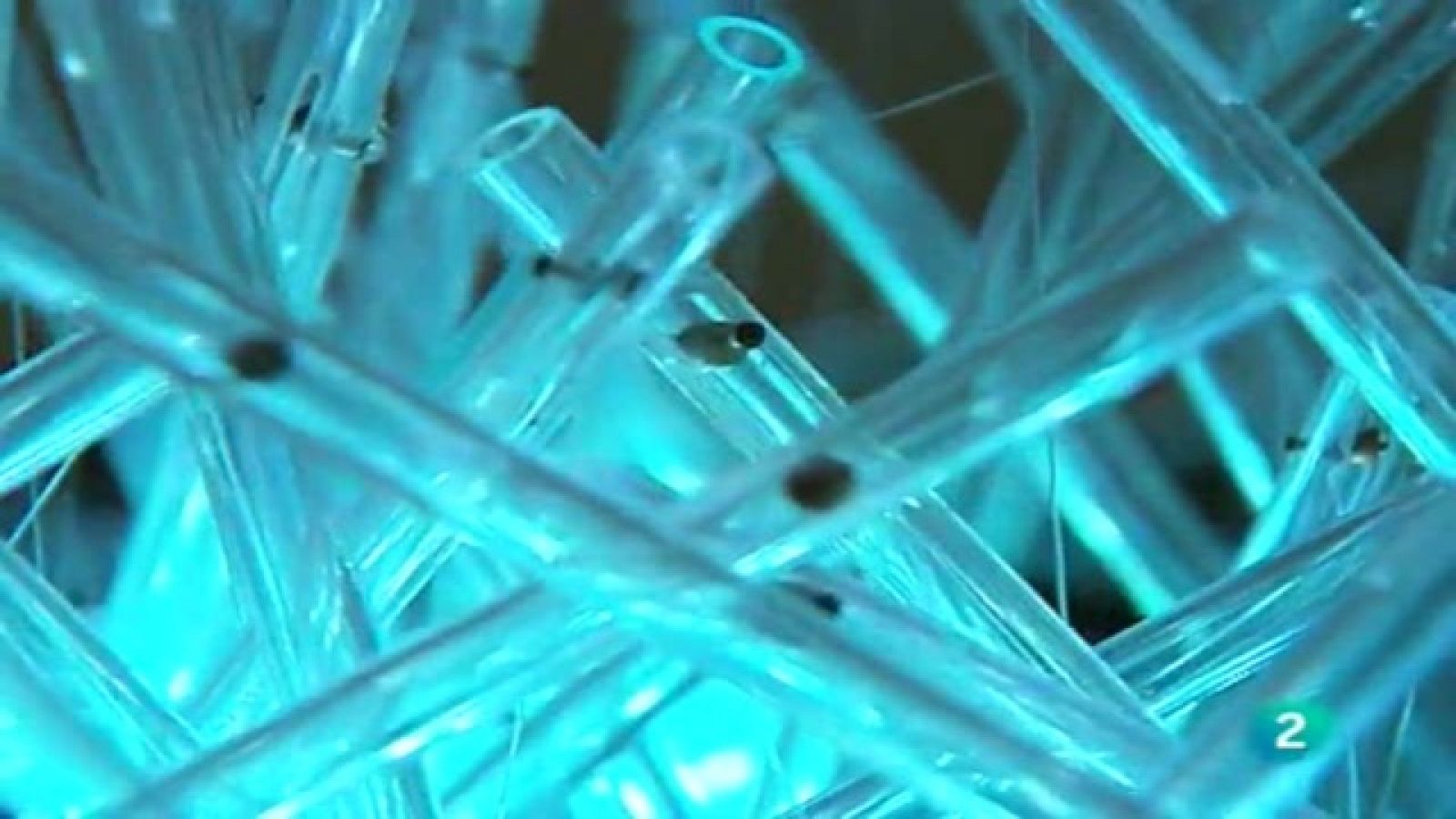 UNED - 17/12/10 - Universo UNED | Ver