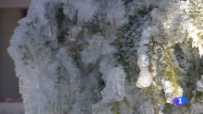 Telediario 1 - Telediario 1