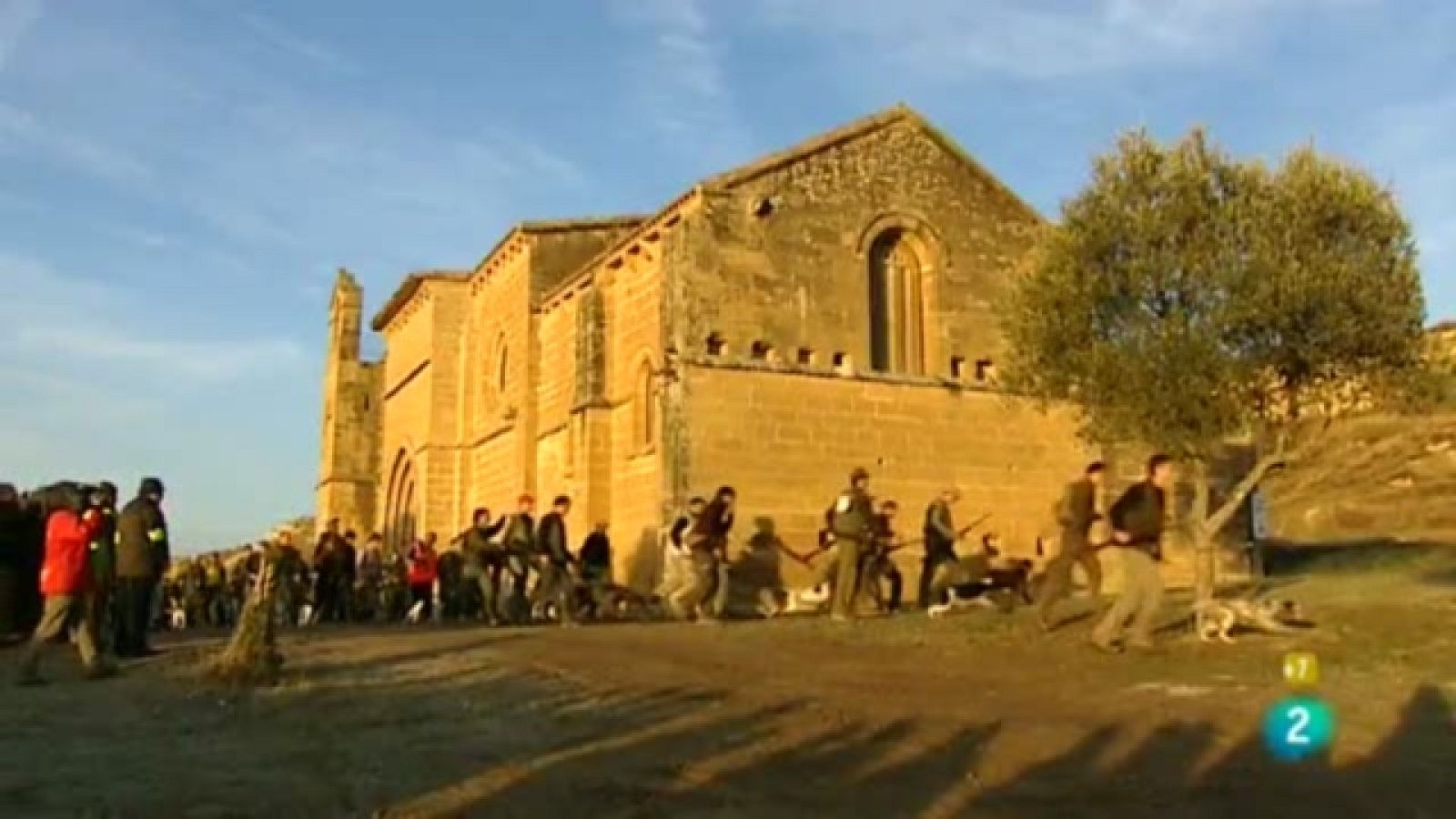 Jara y sedal - Campeonato de España de caza menor con perro. - Jara y sedal | Ver