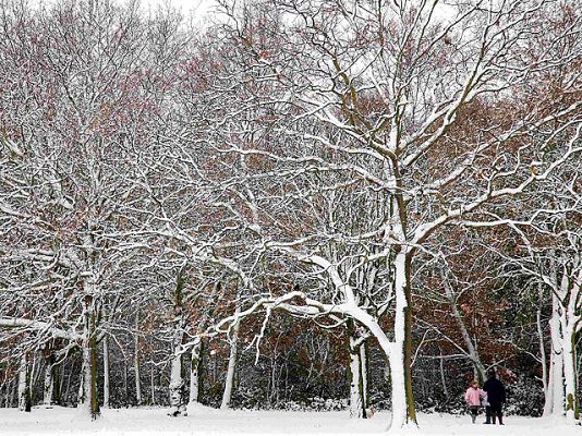  - Telediario en cuatro minutos