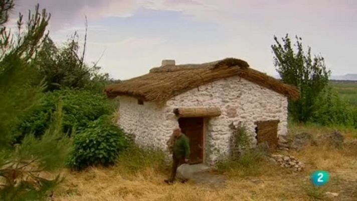 Biodiario - Biodiario - 19/12/10