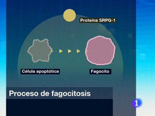Ciencia y tecnología en Rtve.es - Nuevo paso en la lucha contra el cá