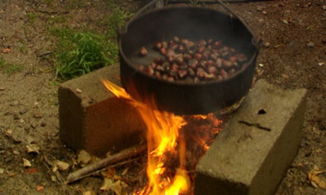 El escarabajo verde - Por un puñado de castañas