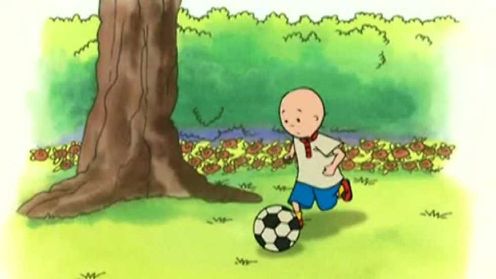 Caillou chuta la pelota - Caillou | Ver