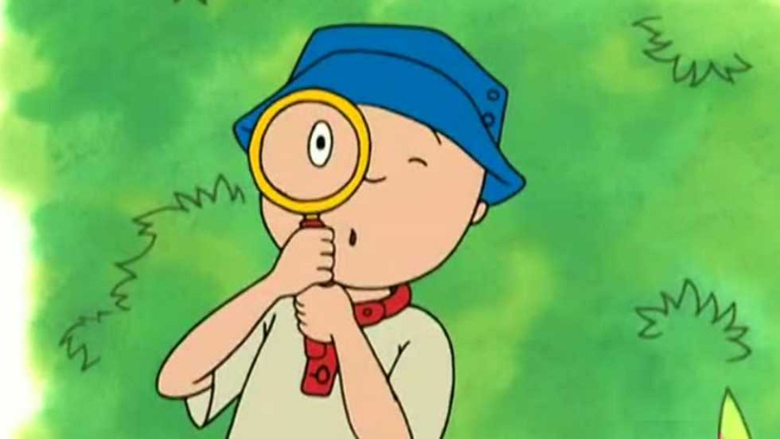 Caillou, el explorador de la selva - Caillou | Ver