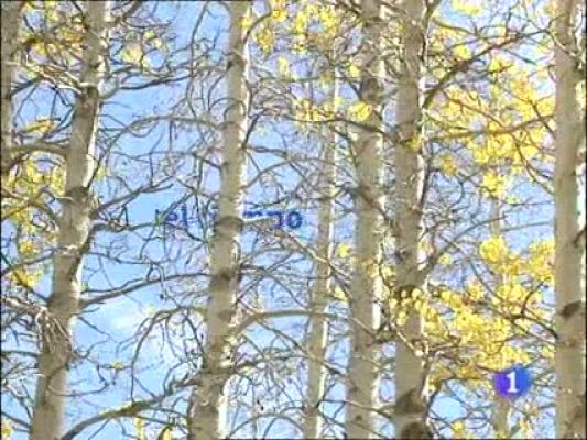 Noticias de Castilla y León - El tiempo en Castilla y León - 20/12/10