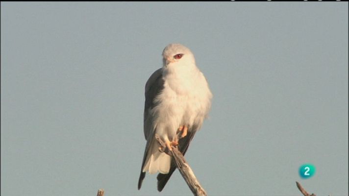 Biodiario - Biodiario - 20/12/10