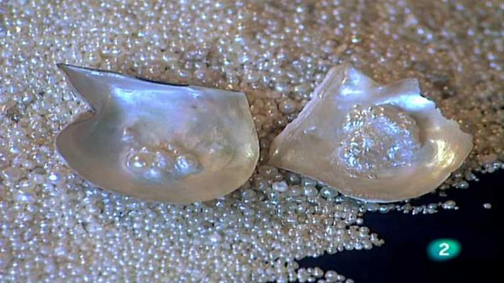 América total - Pasión por Margarita