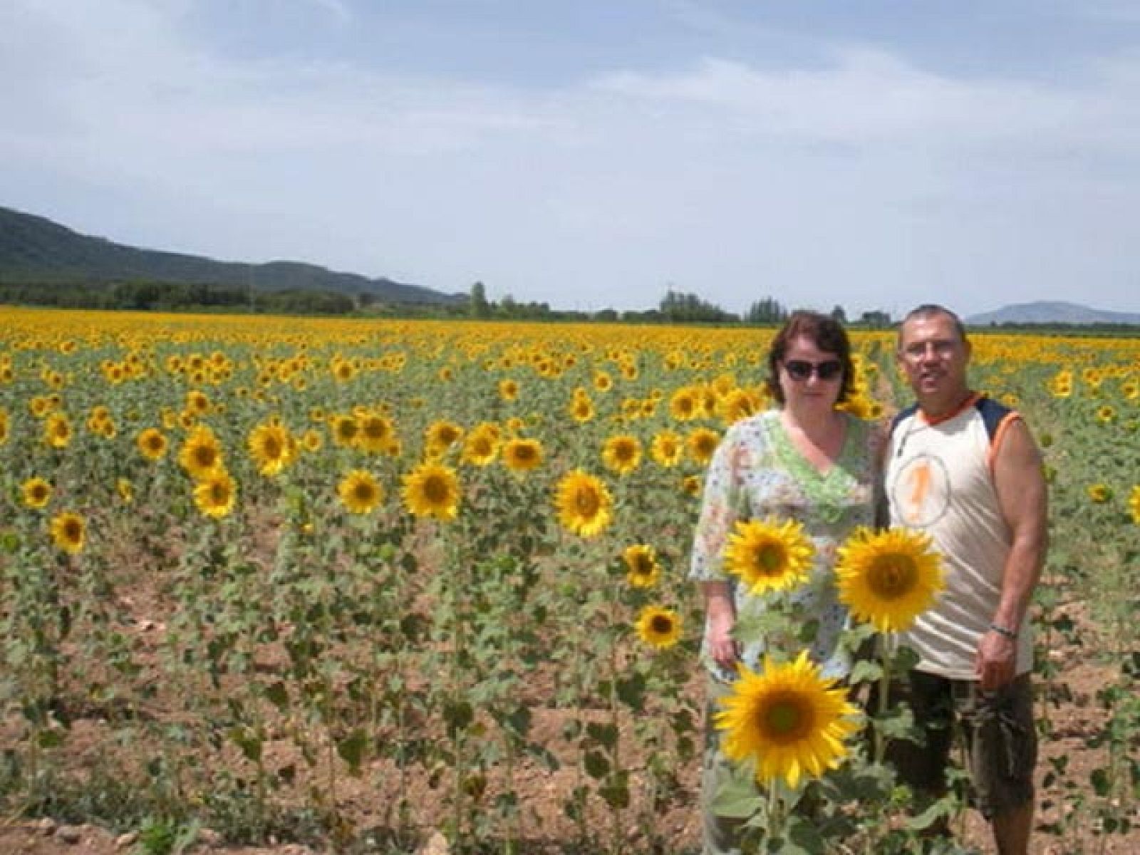 El 2010 de los internautas | Ver