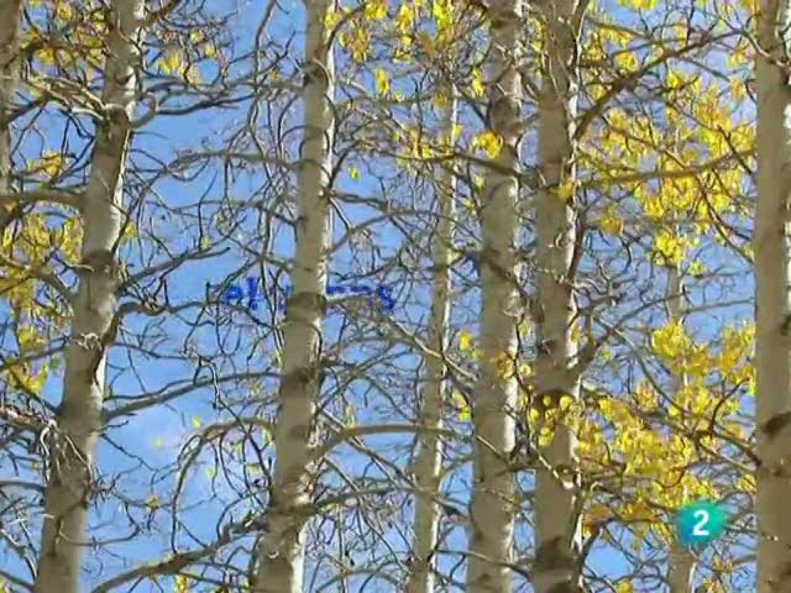 El temps (20-12-2010)