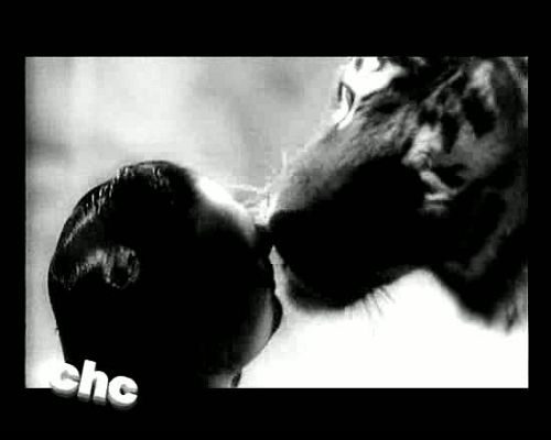 Cómo hemos cambiado - Animaladas - Avance