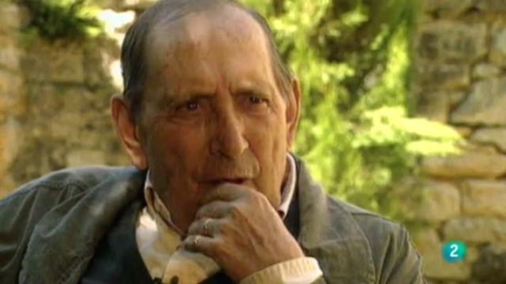 El escarabajo verde - El escarabajo verde - Miguel Delibes, paisajes con palabras