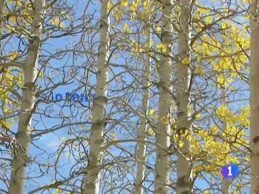 Telexornal - Galicia - El tiempo en Galicia - 21/12/10