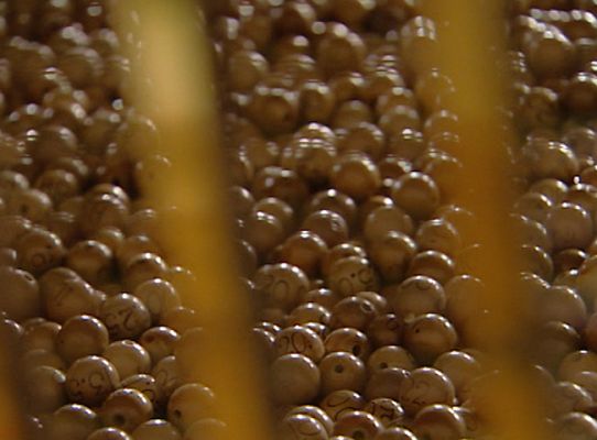 Lotería de Navidad - Nueva lotería en 2011