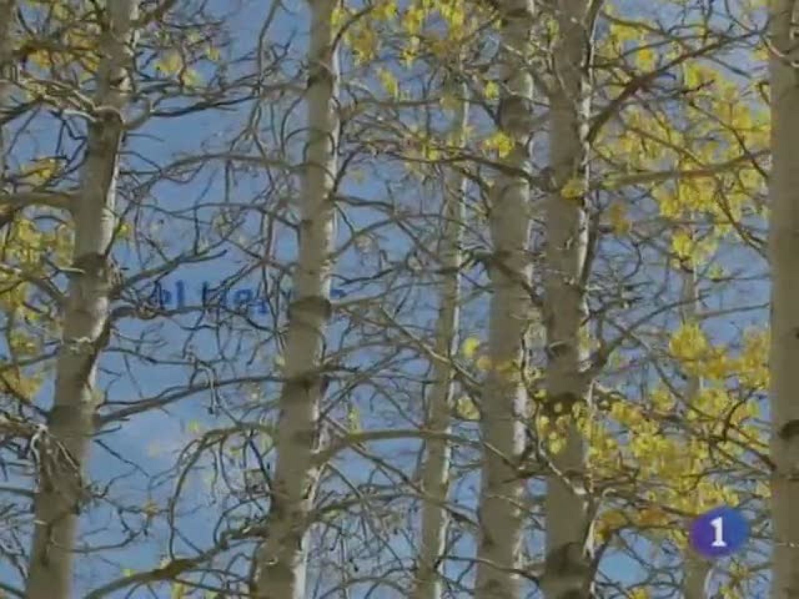 El tiempo en Castilla-La Mancha - 21/12/10 | Ver