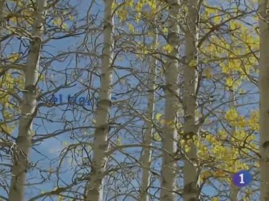 Noticias de Castilla-La Mancha - El tiempo en Castilla-La Mancha - 21/12/10