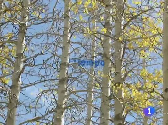 Informativo Telerioja - El tiempo en La Rioja - 21/12/10