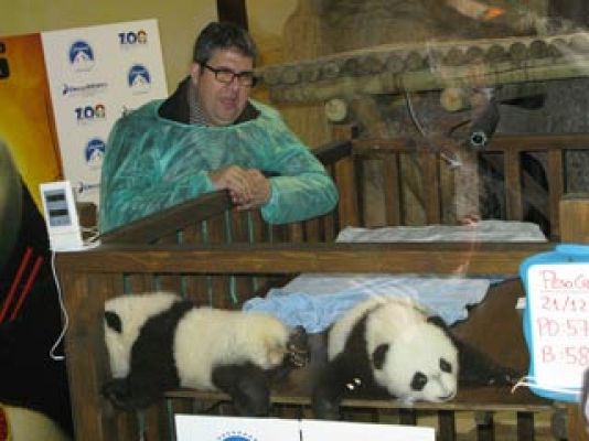 Ciencia y tecnología en Rtve.es - Bautizo de un panda en Madrid